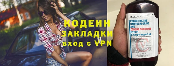 ПСИЛОЦИБИНОВЫЕ ГРИБЫ Горно-Алтайск