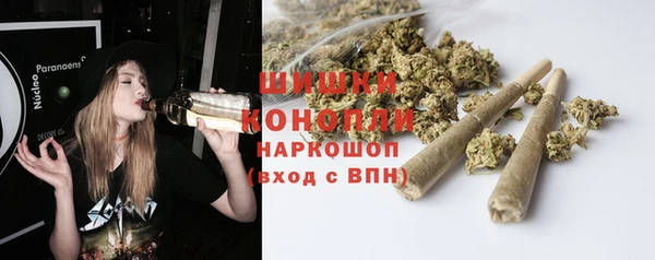 ПСИЛОЦИБИНОВЫЕ ГРИБЫ Горно-Алтайск