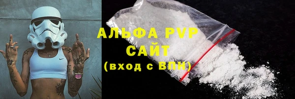 ПСИЛОЦИБИНОВЫЕ ГРИБЫ Горно-Алтайск