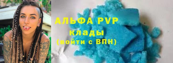ПСИЛОЦИБИНОВЫЕ ГРИБЫ Горно-Алтайск