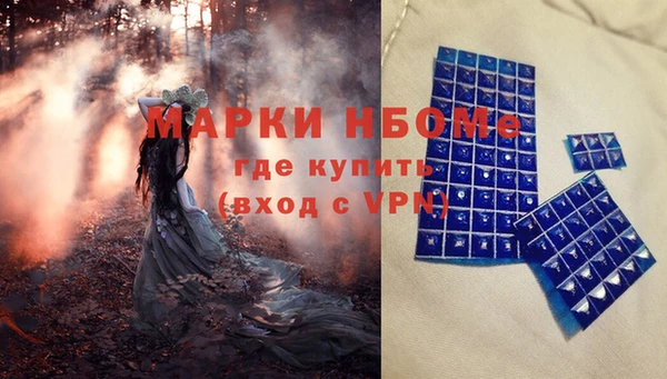 ПСИЛОЦИБИНОВЫЕ ГРИБЫ Горно-Алтайск
