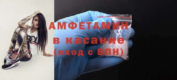 ПСИЛОЦИБИНОВЫЕ ГРИБЫ Горно-Алтайск