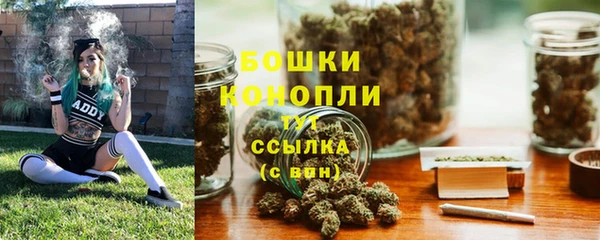 ПСИЛОЦИБИНОВЫЕ ГРИБЫ Горно-Алтайск