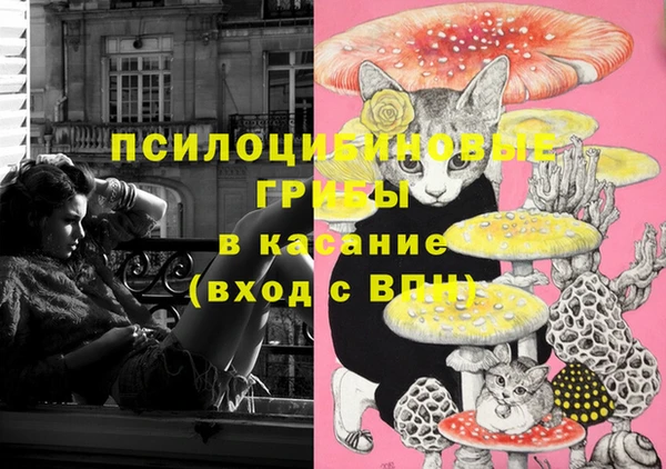 экстази Горнозаводск