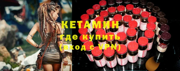 ПСИЛОЦИБИНОВЫЕ ГРИБЫ Горно-Алтайск