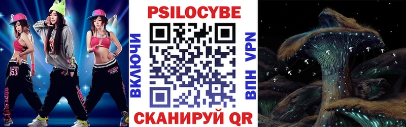 Псилоцибиновые грибы Psilocybe  Улан-Удэ 